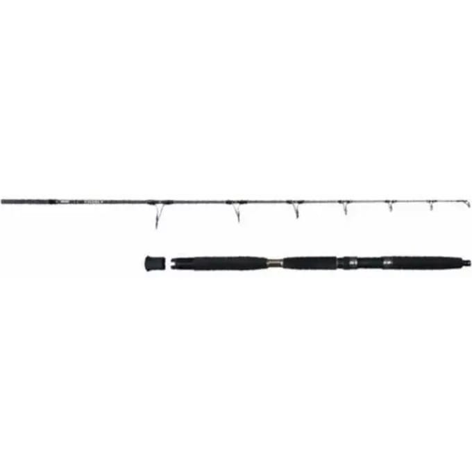 Cane Okuma Eclipz 1,98m 70-140g