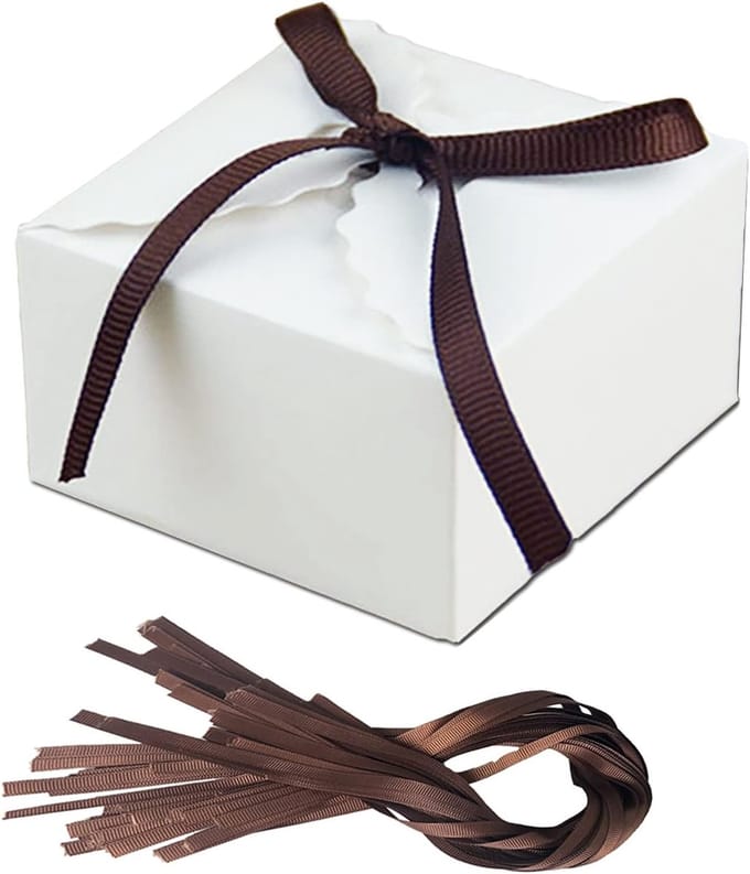 Solidchoice - 30 Stuks Kraft Papieren Cadeau Dozen met Bruine Strik