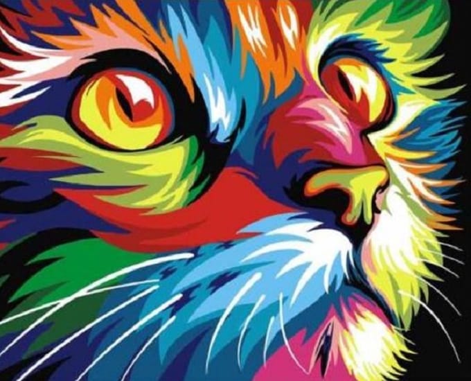 Paint By Numbers Kat - Schilderen op Nummer - 50x40cm - Stipco - Volwassenen