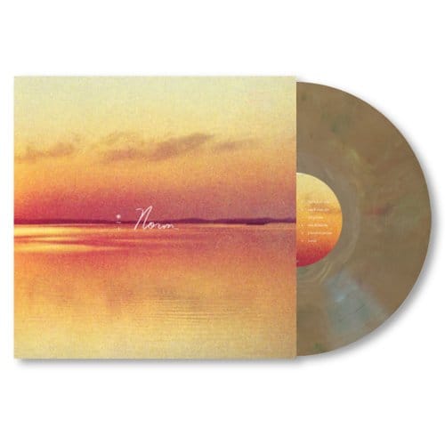 Andy Shauf - Norm (LP) (Limited Edition)