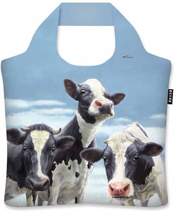 Ecozz tas - Dinnertime - Geke Hoogstins - met rits - 46x41 cm