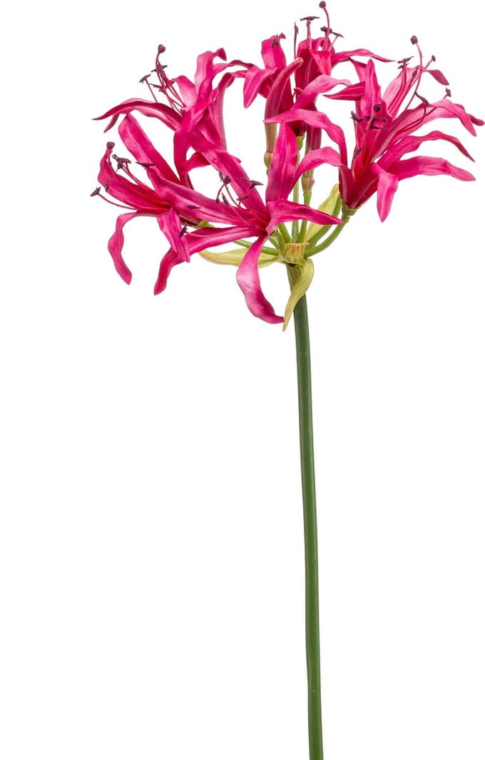 Emerald - Kunstbloem Nerine 75cm fuchsia - Kunstplant voor binnen