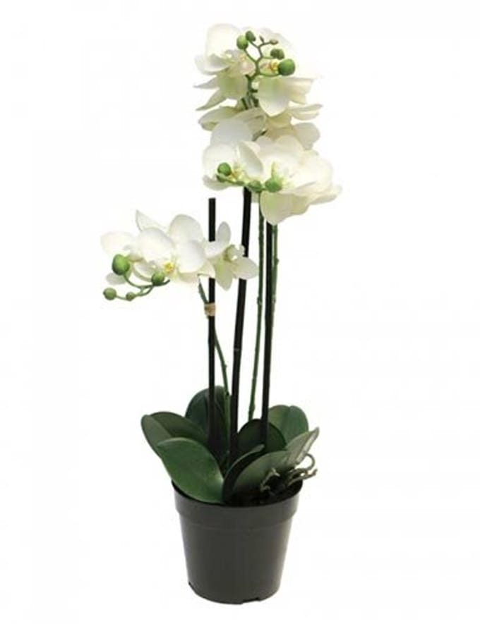 Kunst Phalaenopsis Orchidee In Pot 60 cm - Wit