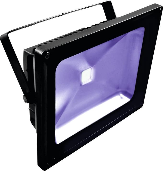 EUROLITE LED IP FL-50 COB UV Blacklight