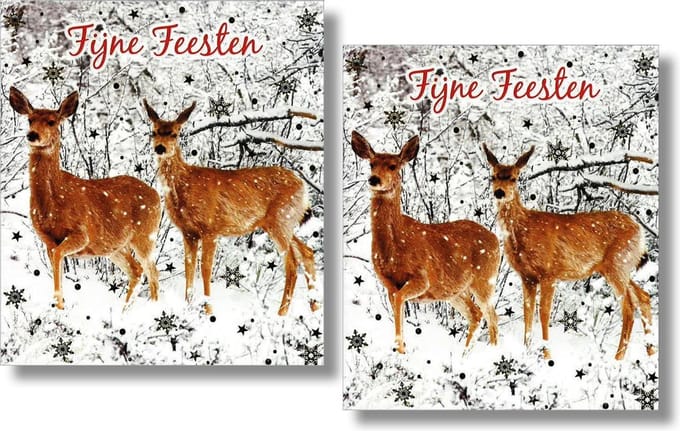 16 Dubbele kaarten - Fijne Feesten - Lannoo - Witte envelop - 12 x 13,3 cm