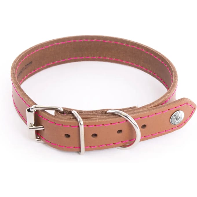 Hondenhalsband Martin Sellier Flash