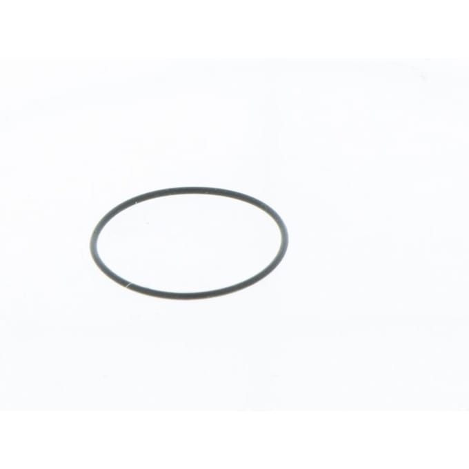 O-ring