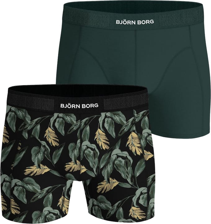Björn Borg Cotton Stretch boxers - heren boxers normale lengte (2-pack) - groen - print