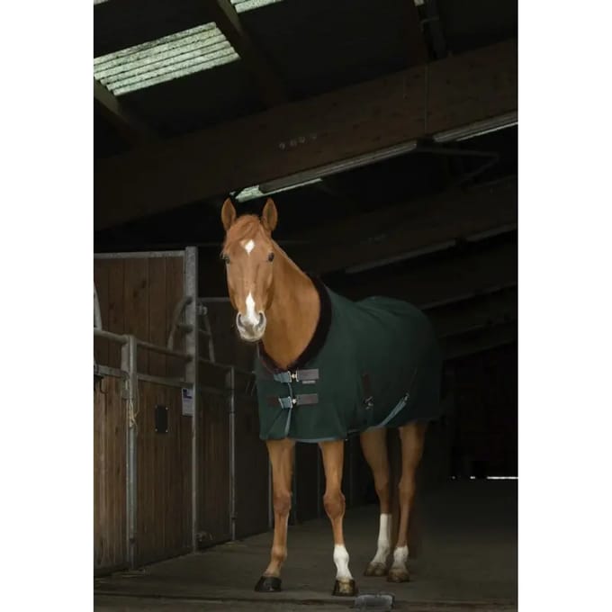 Paardenhemd Equithème Teddy 0g