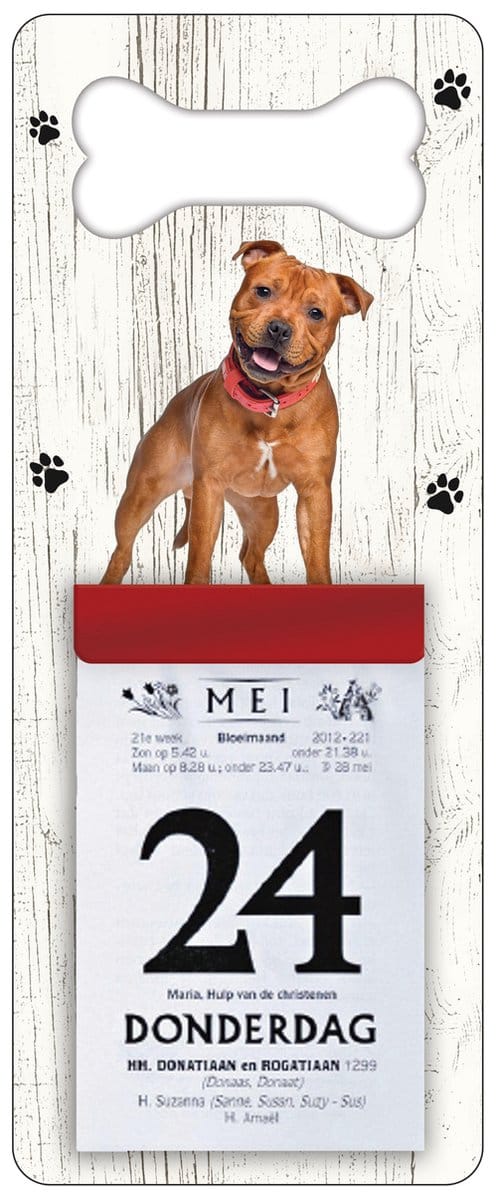 Scheurkalender 2024 Hond: Engelse Staffordshire Bull Terrier