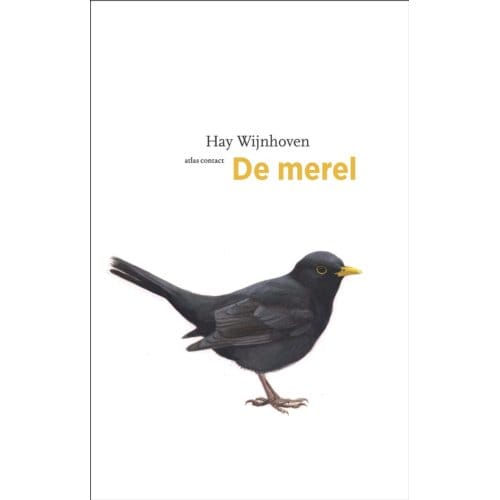 De Merel - De Vogelserie - Hay Wijnhoven