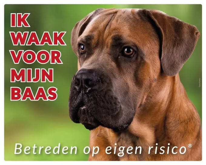 Cane Corso Bruin Waakbord