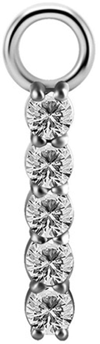 Crazy Needles Premium Zirconia - CoCr Charm - Zilver - Maat M