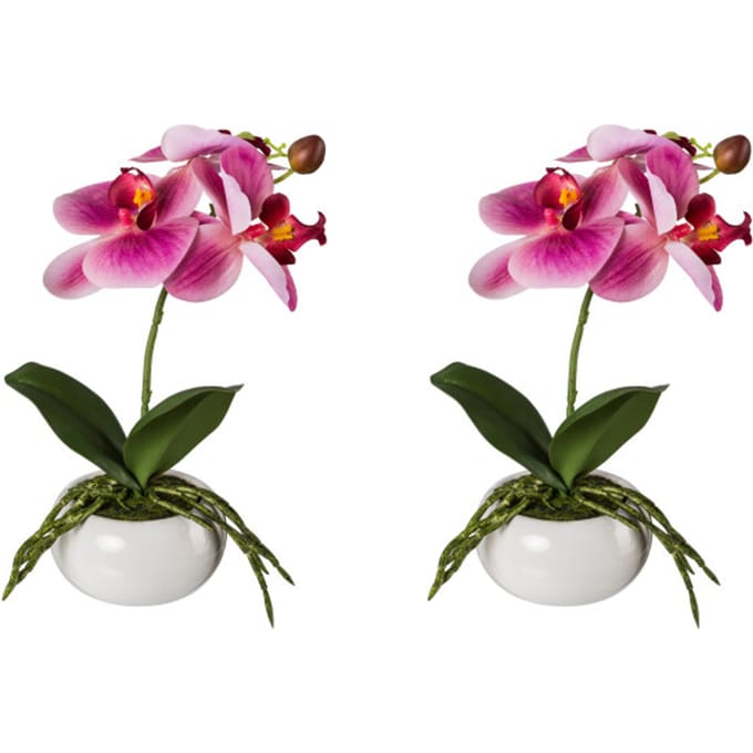 Kopu® Set 2 stuks Kunstplant Mini Orchidee 27 cm in witte Sierpot - Roze