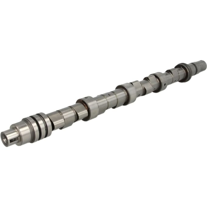 Nokkenas  AE CAM677