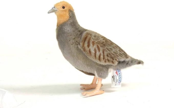 Hansa pluche patrijs knuffel - vogel - 26 cm - dieren