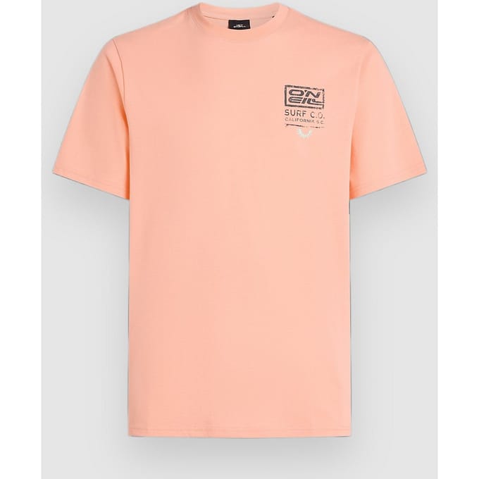 O'Neill Retro Graphic T-Shirt roze