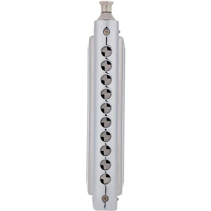 Chromatische mondharmonica 10 gaten 40 tonen sleutel van C zilver met prachtige doos white