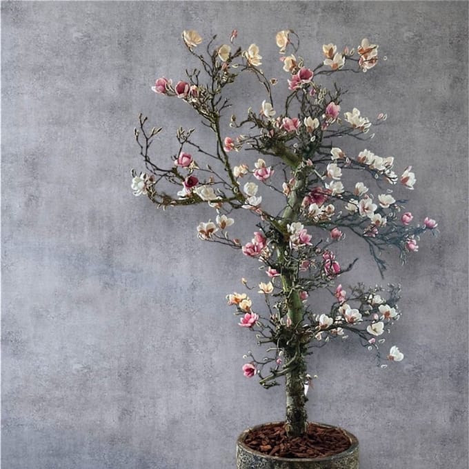 Seta Fiori - Kunstboom - Magnolia boom - 200cm -