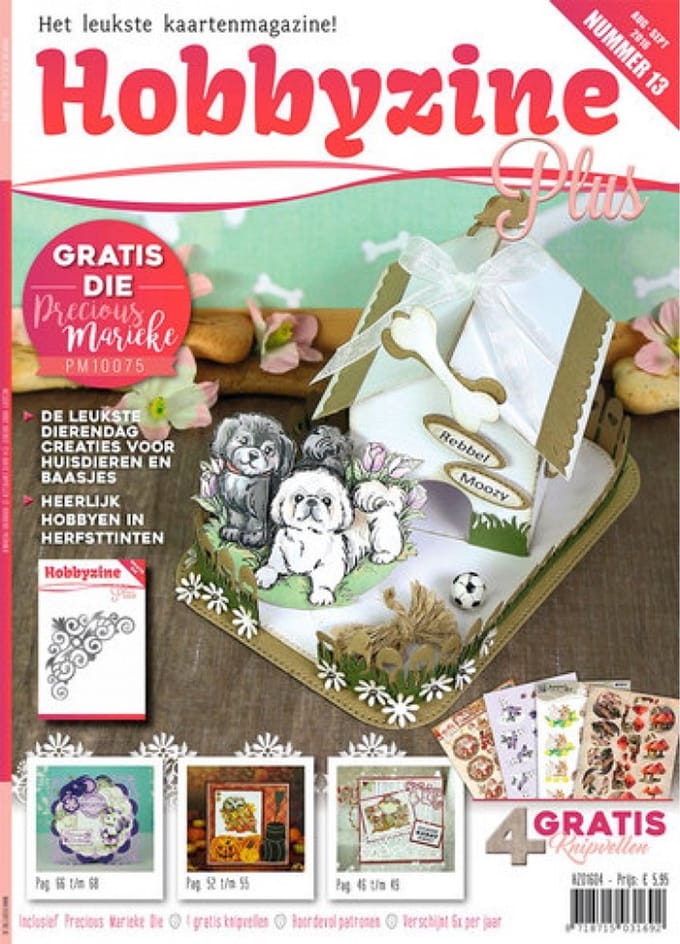 Hobbyzine Plus 13