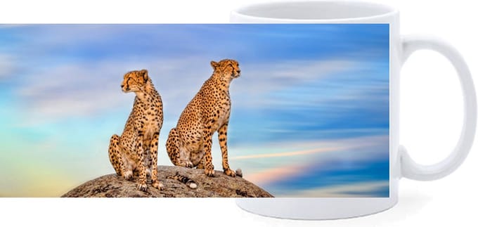 Beker - 2 Cheethas op Rots