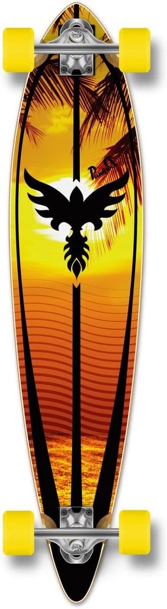 Compleet Pintail Longboard Skateboard met Grafische Print - Geschikt voor Beginners