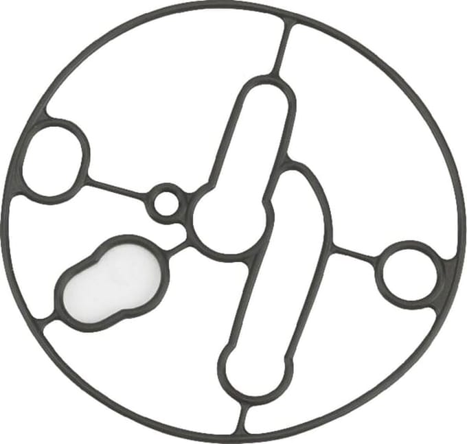Briggs & stratton vlotterbakpakking