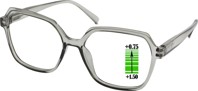 Leesbril Vista Bonita Mira Multifocaal-Kadushi silver-+0.75-+1.50