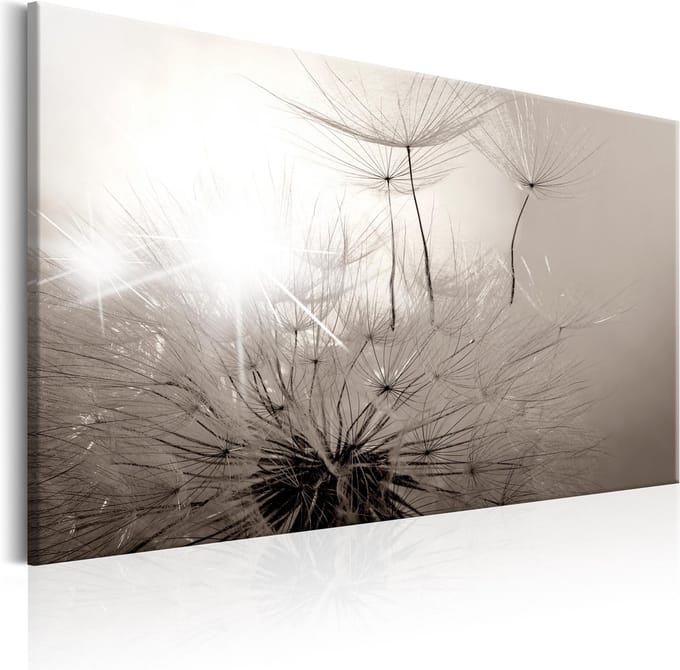 Schilderijen Op Canvas - Schilderij - Beautiful Summer: Dandelions 90x60 - Artgeist Schilderij