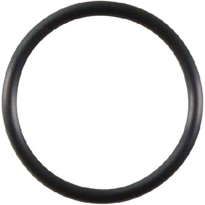 Briggs & stratton o-ring