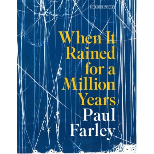 When It Rained For A Million Years - Paul Farley