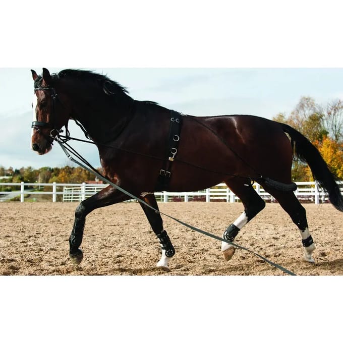 Koord voor paardrijden HorseGuard System