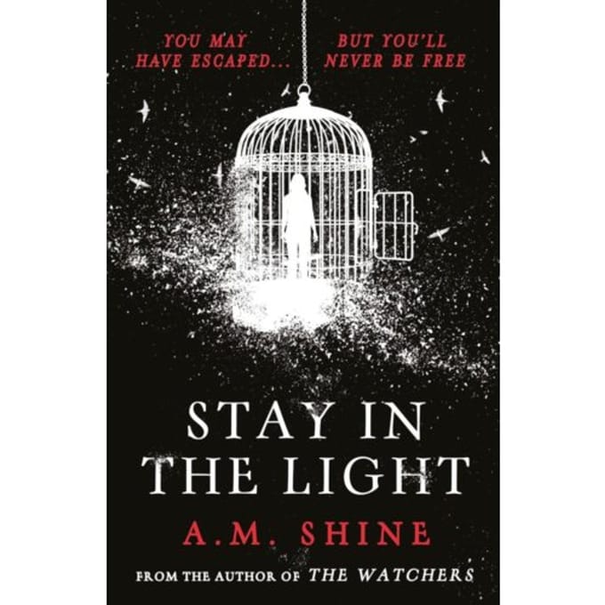 Stay In The Light - A.M. Shine