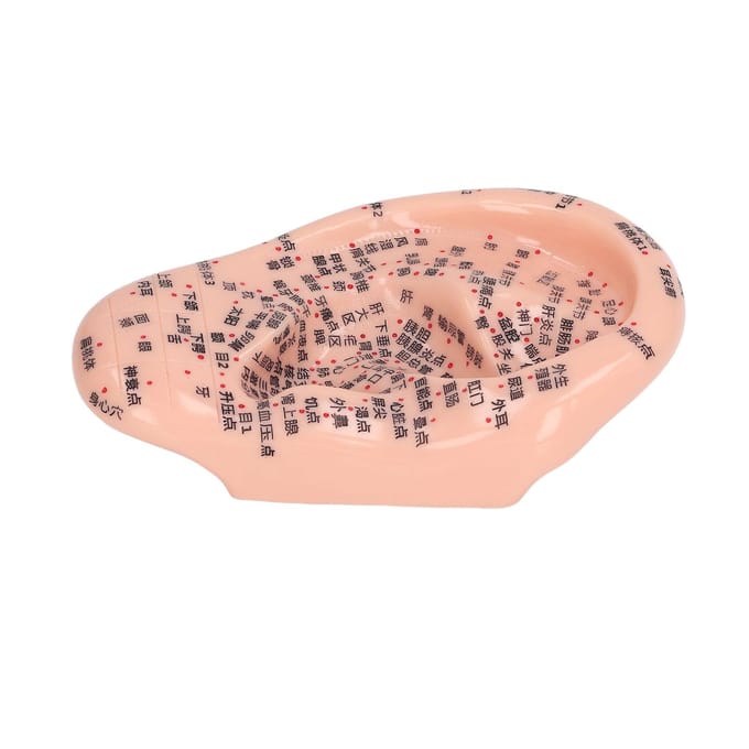 6.7in Ooracupunctuur Model Silicone Graveren Oormassage Acupunctuurmodel voor Thuis Laboratorium beige