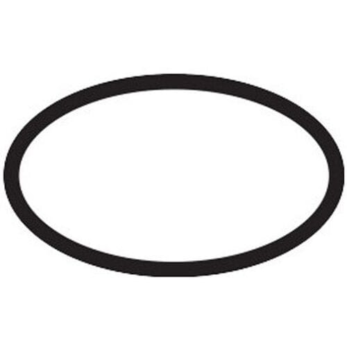 Hansgrohe HG O-ring seal 22x2mm, 98185000