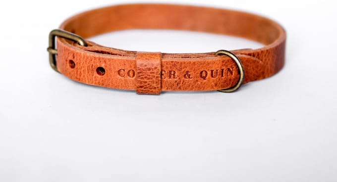 Cooper & Quint No Fuss - Halsband Hond - Leren Halsband Hond - Camel - Oud messing - Medium