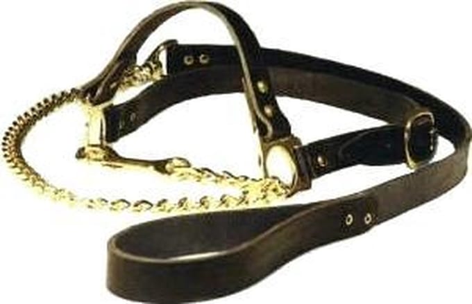 Keuringshalster met ketting, zwart LEER, koe