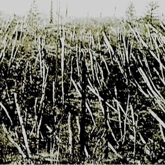 Próchno - Próchno (CD)