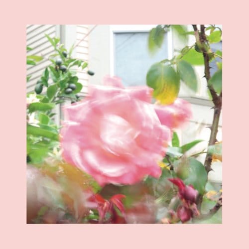 The Reds, Pinks & Purples - Summer At Land's End (CD)