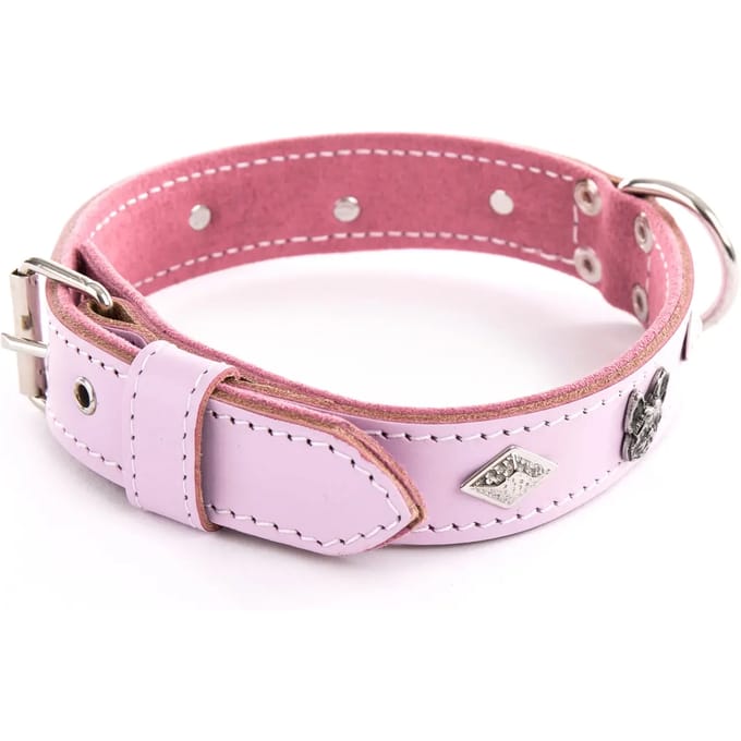 Hondenhalsband Martin Sellier BDG