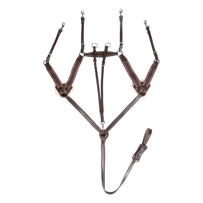Vijfpunts halsband voor paard HKM
