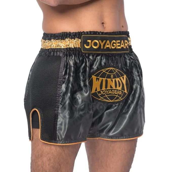 Korte Kickboksen Joyagear X Windy