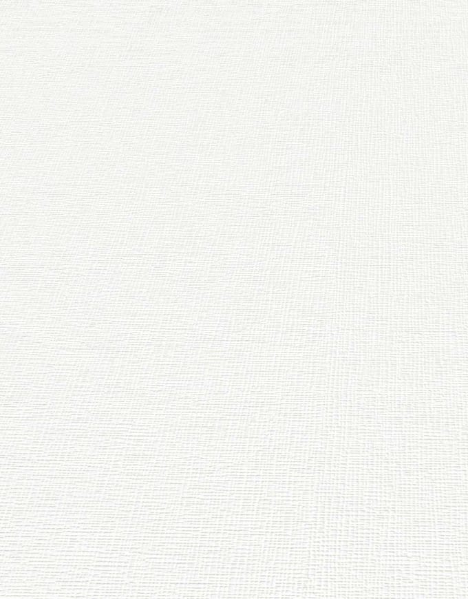 Erismann Vinylbehang 13006-10 - RollOver27 - Overschilderbaar Wit - 53cm x 10.05m