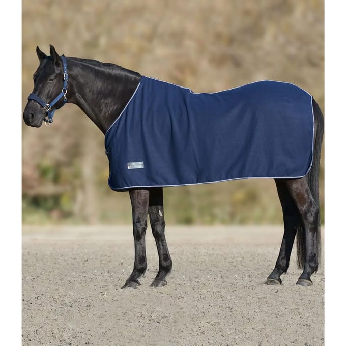 Paardenvacht Waldhausen Economic