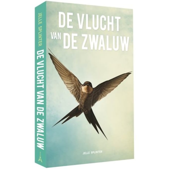 De Vlucht Van De Zwaluw - Jelle Splinter