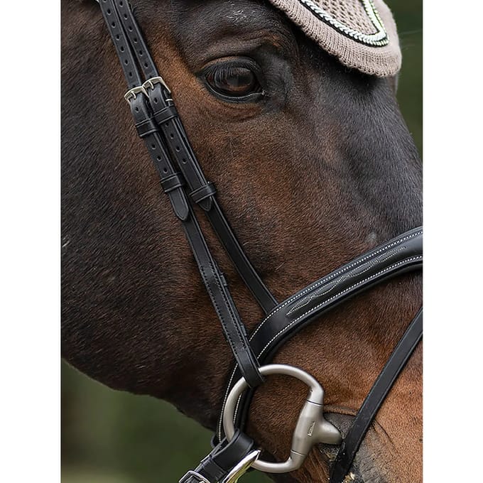 Platte paarden Equiline (x2)