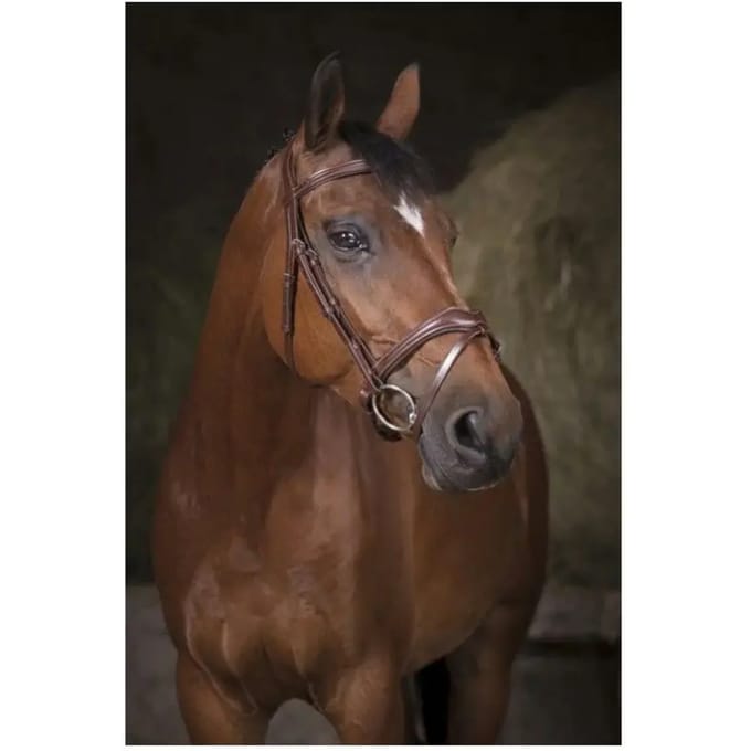 Norton Equestrian Vague Halster Bruin Full