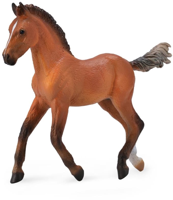 COLLECTA Figurine - Hannoveraan Veulen - (M)
