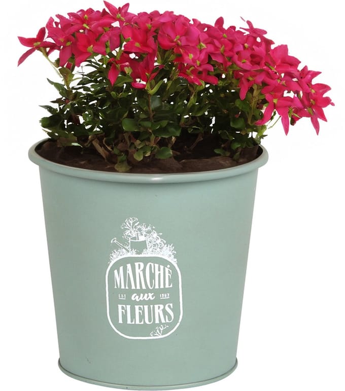 Sunnydays /plantenpot/bloempot - zink - jadegroen - D14 x H13 cm