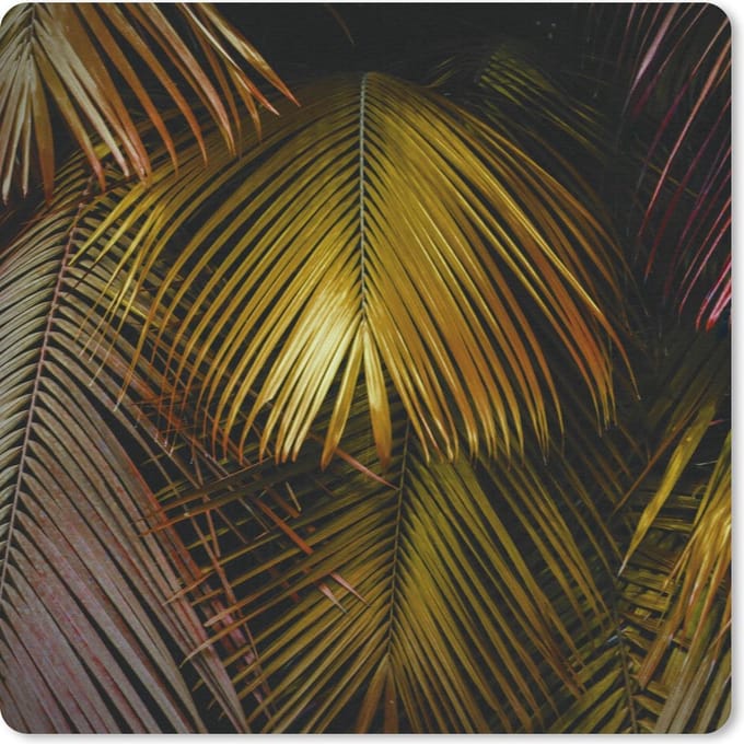 Muismat 20x20 cm - Mousepad Jungle - Palmboom - Goud - Muismatten